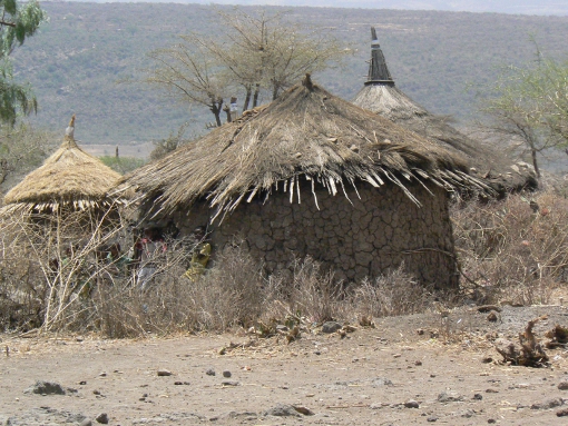 village oromo.jpg